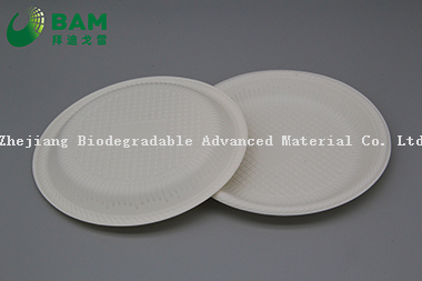 Fully Biodegradable Dividing Compostable Sugarcane Plant Fiber Bakery Takeaway Food Package Round Plate for Dessert Cake
