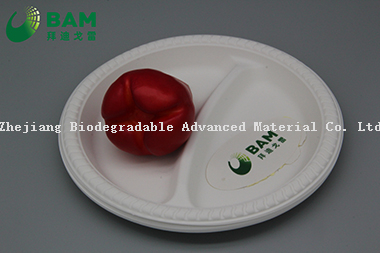 Fully Biodegradable Dividing 2 Compartment Compostable Sugarcane Plant Fiber Bakery Takeaway Food Package Round Plate for Dessert Cake