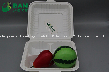 Fully Biodegradable Multi 4 Compartment Disposable Plastic Food Container Compostable Sugarcane Plant Fiber Take-Away Food Containers