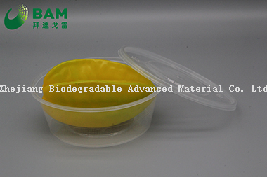 Manufacture Fully Biodegradable Compostable Food Grade Sugarcane Plant Fiber Canteen Takeaway Food Containers