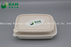 Fully Biodegradable Food Grade Disposable Compostable Sugarcane Plant Fiber Takeaway Food Packaging Containers for Salad