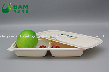 Fully Biodegradable Multi Compartment Disposable Plastic Food Container Compostable Sugarcane Plant Fiber Takw-Away Food Containers