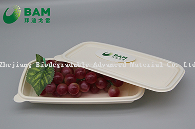 Fully Biodegradable Food Grade Disposable Compostable Sugarcane Plant Fiber Takeaway Food Packaging Containers for Pancake