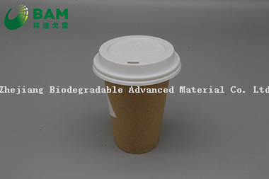 Biodegradable Convenient Compostable Disposable Food Containers Soup Bowls Hot Soup Plastic Paper Cup for Coffee Drink Juice