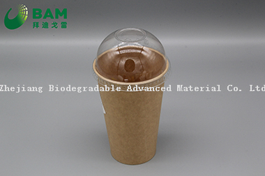 Biodegradable Convenient Compostable Disposable Food Containers Soup Bowls Hot Soup Plastic Paper Cup for Coffee Drink Juice