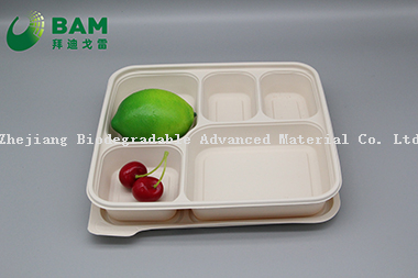 100% Biodegradable 5 Compartment Disposable Compostable Corn Starch Takeaway Canteen Food Containers for Fast-Food