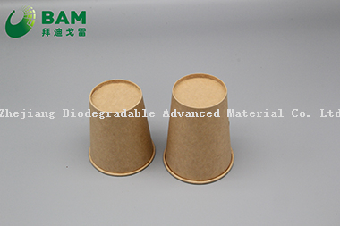 Biodegradable Convenient Compostable Disposable Food Containers Soup Bowls Hot Soup Plastic Paper Cup for Coffee Drink Juice