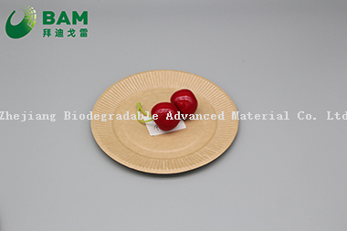 Fully Biodegradable Dividing Compostable Sugarcane Plant Fiber Bakery Takeaway Food Package Round Plate for Cake