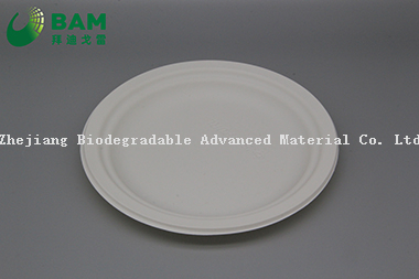 Fully Biodegradable Dividing Compostable Sugarcane Round Plant Fiber Bakery Takeaway Food Package Round Plate for Dessert Cake