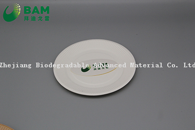 Fully Biodegradable Dividing Compostable Sugarcane Plant Fiber Bakery Takeaway Food Package Round Plate for Dessert Cake