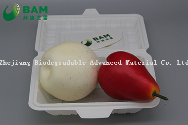 Fully Biodegradable Multi Compartment Disposable Plastic Food Container Compostable Plant Fiber Takw-Away Food Containers
