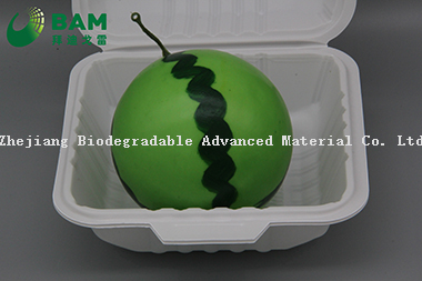 Fully Biodegradable Multi Compartment Disposable Plastic Food Container Compostable Sugarcane Plant Fiber Takw-Away Food Containers