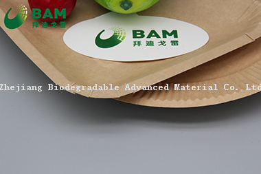 Fully Biodegradable Dividing Compostable Sugarcane Plant Fiber Bakery Takeaway Food Package Square Plate for Cake