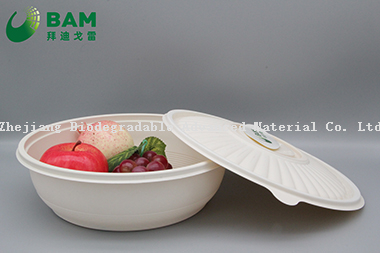 Food Grade Fully Biodegradable Compostable Disposable Sugarcane Plant Fiber Takeaway Canteen Food Bowl Container for Fruits Soup