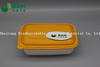 Food Grade Fully 100% Biodegradable Compostable Sugarcane Plant Fiber Takeaway Food Containers for Camping