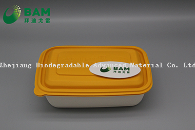 Food Grade Fully 100% Biodegradable Compostable Sugarcane Plant Fiber Takeaway Food Containers for Camping