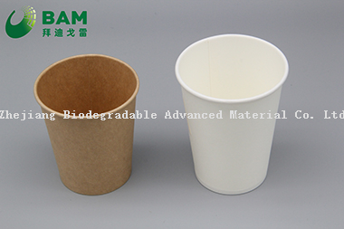 Biodegradable Convenient Compostable Disposable Food Containers Soup Bowls Hot Soup Plastic Paper Cup for Coffee Drink Juice