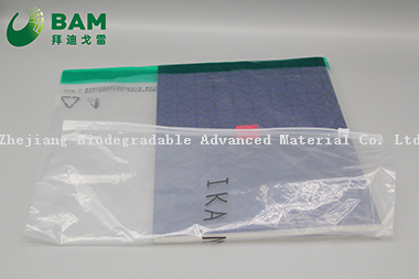 Biodegradable Sustainable Packing Customized Color Printed Poly Fashion Bag Women Clothes Plastic Mailing Postage Bags Shopping Garment Bags