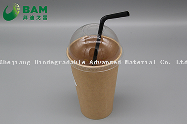 Biodegradable Convenient Disposable Plastic Cutlery PLA Heat resistant Straw for Juicy Coffee Drink