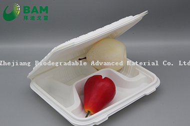 Fully Biodegradable Multi 4 Compartment Disposable Plastic Food Container Compostable Sugarcane Plant Fiber Take-Away Food Containers