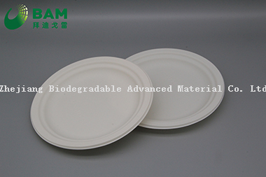 Fully Biodegradable Dividing Compostable Sugarcane Round Plant Fiber Bakery Takeaway Food Package Round Plate for Dessert Cake