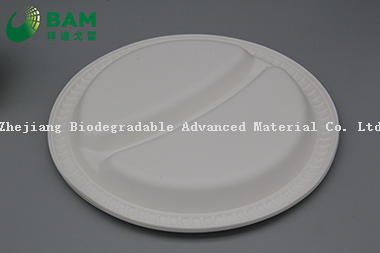 Fully Biodegradable Dividing 2 Compartment Compostable Sugarcane Plant Fiber Bakery Takeaway Food Package Round Plate for Dessert Cake
