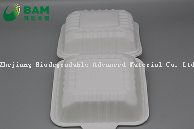 Fully Biodegradable Multi Compartment Disposable Plastic Food Container Compostable Sugarcane Plant Fiber Takw-Away Food Containers
