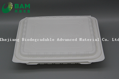 Fully Biodegradable Multi 4 Compartment Disposable Plastic Food Container Compostable Sugarcane Plant Fiber Take-Away Food Containers