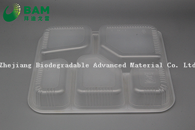 Fully Biodegradable 5 Compartment Compostable Sugarcane Plant Fiber Canteen Takeaway Food Containers for Fast-Food