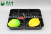 Fully Biodegradable Compostable Sugarcane Plant Fiber Takw-Away Food Containers for Dessert