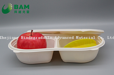 2 Compartments Fully Biodegradable Compostable Sugarcane Plant Fiber Takeaway Food Containers for Bun Dessert Fruits