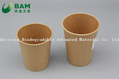 Biodegradable Convenient Compostable Disposable Food Containers Soup Bowls Hot Soup Plastic Paper Cup for Coffee Drink Juice
