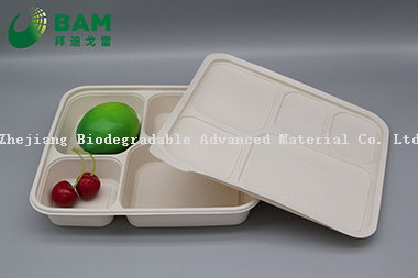 100% Biodegradable 5 Compartment Disposable Compostable Corn Starch Takeaway Canteen Food Containers for Fast-Food
