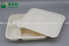 100% Biodegradable 4 Compartment Disposable Compostable Corn Starch Takeaway Canteen Food Containers for Fast-Food