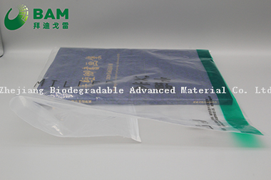 Biodegradable Sustainable Packing Customized Color Printed Poly Fashion Bag Women Clothes Plastic Mailing Postage Bags Shopping Garment Bags