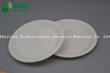 Fully Biodegradable Dividing Compostable Sugarcane Plant Fiber Bakery Takeaway Food Package Round Plate for Dessert Cake