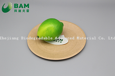 Fully Biodegradable Dividing Compostable Sugarcane Plant Fiber Bakery Takeaway Food Package Round Plate for Cake