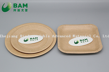 Fully Biodegradable Dividing Compostable Sugarcane Plant Fiber Bakery Takeaway Food Package Square Plate for Cake