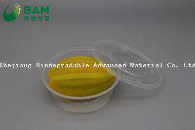 Manufacture Fully Biodegradable Compostable Food Grade Sugarcane Plant Fiber Canteen Takeaway Food Containers