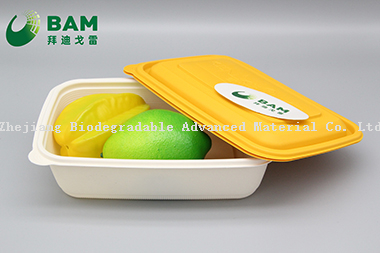 Food Grade Fully 100% Biodegradable Compostable Sugarcane Plant Fiber Takeaway Food Containers for Camping