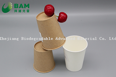 Biodegradable Convenient Compostable Disposable Food Containers Soup Bowls Hot Soup Plastic Paper Cup for Coffee Drink Juice
