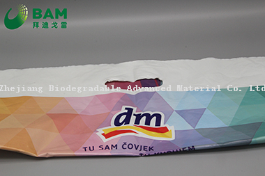 Sustainable Packing Biodegradable Plastic Carrier Punch Hole Handle Bags Supermarket Shopping T-Shirt Bags for Vegetables Fruit Gift Garment Bags