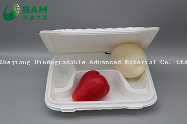 Fully Biodegradable Multi 4 Compartment Disposable Plastic Food Container Compostable Sugarcane Plant Fiber Take-Away Food Containers