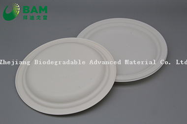 Fully Biodegradable Dividing Compostable Sugarcane Round Plant Fiber Bakery Takeaway Food Package Round Plate for Dessert Cake