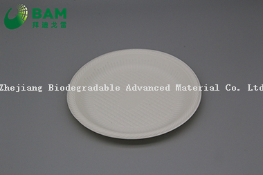 Fully Biodegradable Dividing Compostable Sugarcane Plant Fiber Bakery Takeaway Food Package Round Plate for Dessert Cake