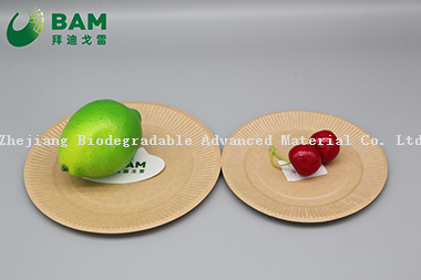 Fully Biodegradable Dividing Compostable Sugarcane Plant Fiber Bakery Takeaway Food Package Round Plate for Cake
