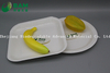 Fully Biodegradable Dividing Compostable Sugarcane Plant Fiber Bakery Takeaway Food Package Square Plate for Dessert Cake