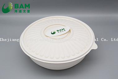 Food Grade Fully Biodegradable Compostable Disposable Sugarcane Plant Fiber Takeaway Canteen Food Bowl Container for Fruits Soup