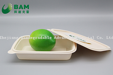 Fully Biodegradable Food Grade Disposable Compostable Sugarcane Plant Fiber Takeaway Food Packaging Containers for Salad