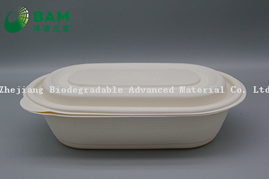 Food Grade Fully Biodegradable Compostable Sugarcane Cornstarch Plant Fiber Takeaway Canteen Food Containers for Salad Fast-Food
